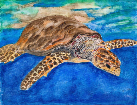 Turtle at Sea Black Ornate Wood Framed Art Print with Double Matting by Odum, Jan