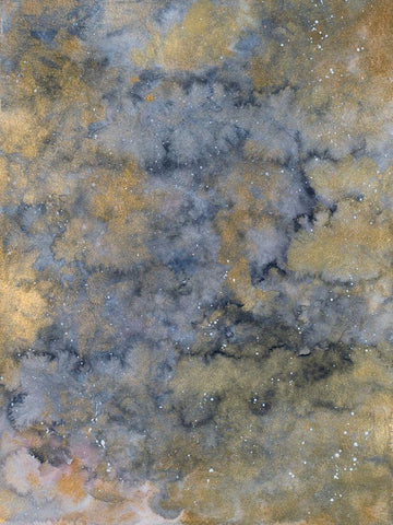 Metallic Space Black Ornate Wood Framed Art Print with Double Matting by Bucheli, Amaya