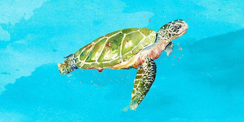 Green Turtle on Light Blue White Modern Wood Framed Art Print with Double Matting by Pinto, Patricia