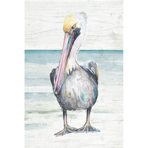 Pelican On The Shore I Black Modern Wood Framed Art Print with Double Matting by Pinto, Patricia