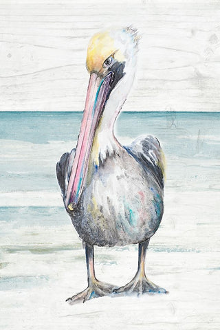Pelican On The Shore I Black Ornate Wood Framed Art Print with Double Matting by Pinto, Patricia