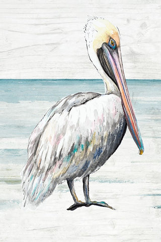 Pelican On The Shore II White Modern Wood Framed Art Print with Double Matting by Pinto, Patricia