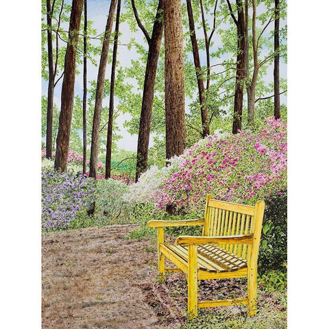 Nature Walks Black Modern Wood Framed Art Print with Double Matting by Redding, James
