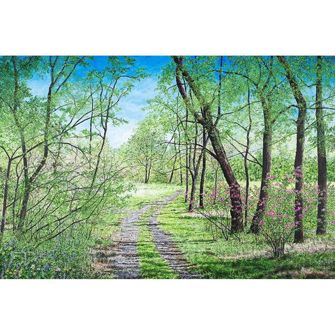 Springs Poetry Black Modern Wood Framed Art Print with Double Matting by Redding, James