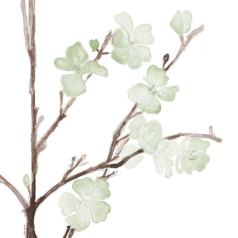 Mint Bloom Stems Black Modern Wood Framed Art Print with Double Matting by Loreth, Lanie