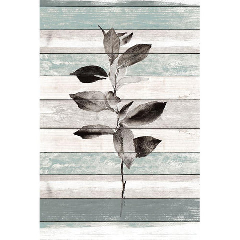 Tonal Leaves on Wood III Black Modern Wood Framed Art Print with Double Matting by Loreth, Lanie