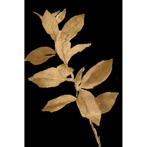 Golden Leaves on Black I Black Modern Wood Framed Art Print with Double Matting by Loreth, Lanie