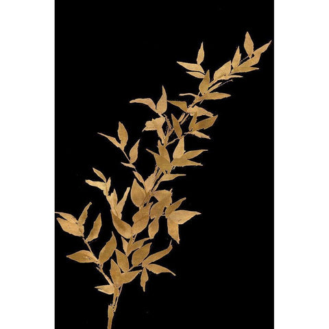 Golden Leaves on Black III Gold Ornate Wood Framed Art Print with Double Matting by Loreth, Lanie