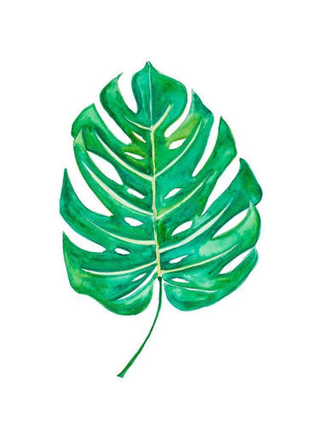 Garden Leaf I White Modern Wood Framed Art Print with Double Matting by Danelle, B.