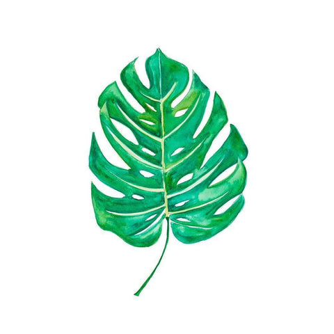 Garden Leaf I Black Modern Wood Framed Art Print by Danelle, B.