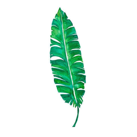 Garden Leaf II Black Modern Wood Framed Art Print with Double Matting by Danelle, B.