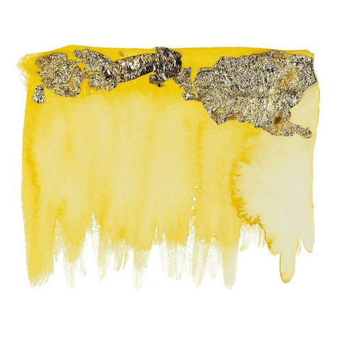 Gold Flake Yellow Black Ornate Wood Framed Art Print with Double Matting by Danelle, B.
