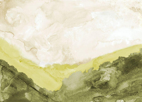 Washed Green Landscape Black Ornate Wood Framed Art Print with Double Matting by Danelle, B.