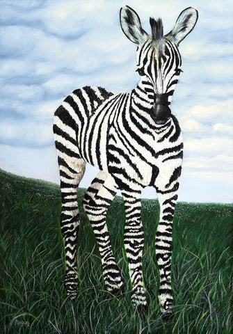 At Attention Zebra White Modern Wood Framed Art Print with Double Matting by Morris, Megan