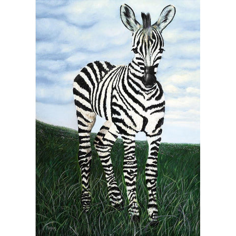 At Attention Zebra White Modern Wood Framed Art Print by Morris, Megan