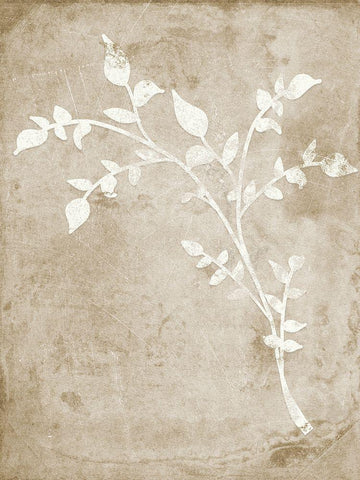 Rustic Floral I White Modern Wood Framed Art Print with Double Matting by Quach, Anna
