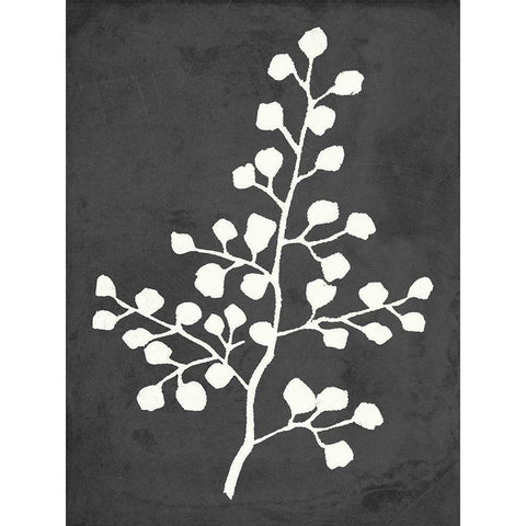 Fern Silhouette II Gold Ornate Wood Framed Art Print with Double Matting by Quach, Anna