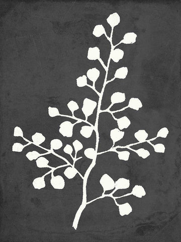 Fern Silhouette II Black Ornate Wood Framed Art Print with Double Matting by Quach, Anna