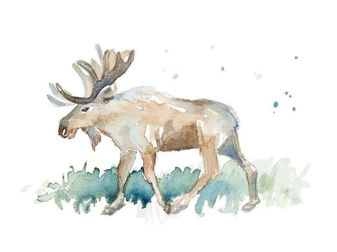 Watercolor Moose White Modern Wood Framed Art Print with Double Matting by Loreth, Lanie