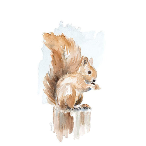 Watercolor Squirrel White Modern Wood Framed Art Print with Double Matting by Loreth, Lanie