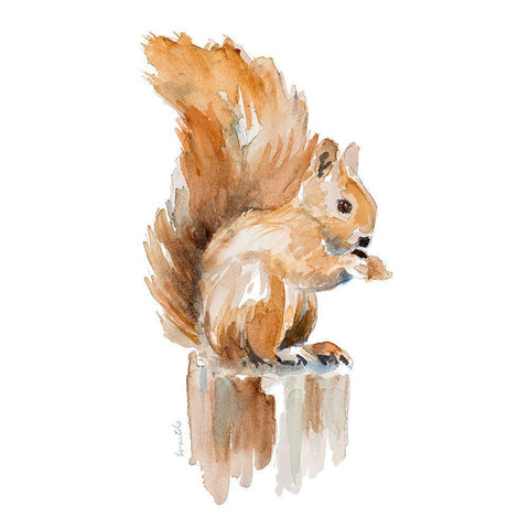 Watercolor Squirrel White Modern Wood Framed Art Print with Double Matting by Loreth, Lanie