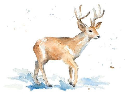 Watercolor Deer White Modern Wood Framed Art Print with Double Matting by Loreth, Lanie