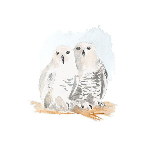 Snowy Owls Black Modern Wood Framed Art Print with Double Matting by Loreth, Lanie