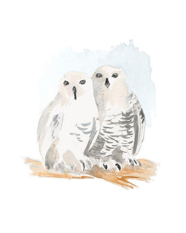 Snowy Owls White Modern Wood Framed Art Print with Double Matting by Loreth, Lanie