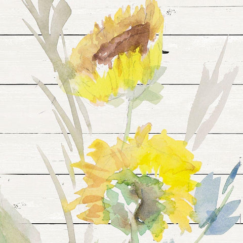 Blooming Sunflower Square I Gold Ornate Wood Framed Art Print with Double Matting by Loreth, Lanie