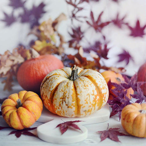 A Bright Harvest I Black Ornate Wood Framed Art Print with Double Matting by Gardner, Sarah