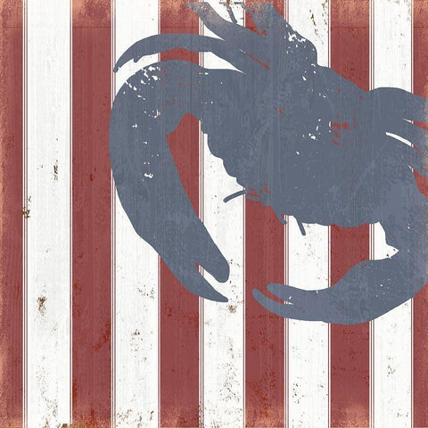 American Coastal I Black Modern Wood Framed Art Print with Double Matting by Quach, Anna