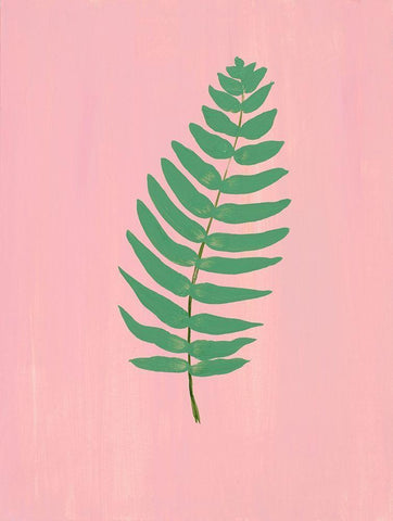 Pink Fern I Black Ornate Wood Framed Art Print with Double Matting by Maria, Robin