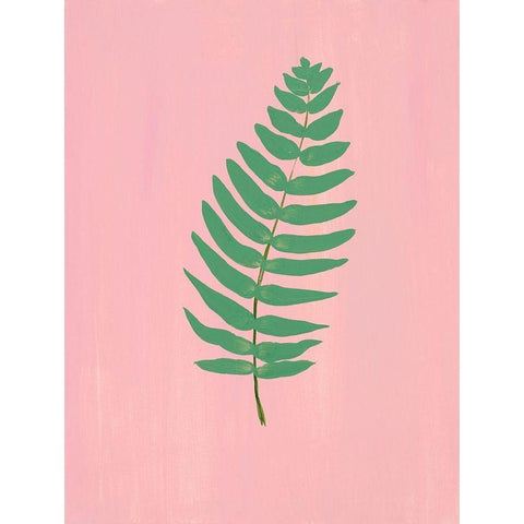 Pink Fern I Black Modern Wood Framed Art Print with Double Matting by Maria, Robin