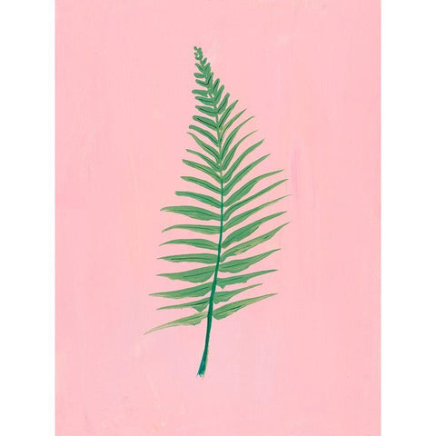 Pink Fern II Black Modern Wood Framed Art Print with Double Matting by Maria, Robin