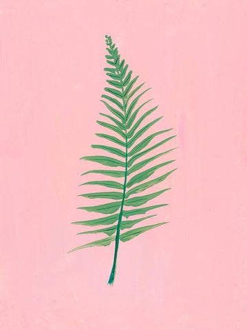 Pink Fern II White Modern Wood Framed Art Print with Double Matting by Maria, Robin