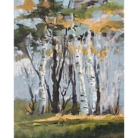 Golden Birch Trees Black Modern Wood Framed Art Print by Slivka, Jane