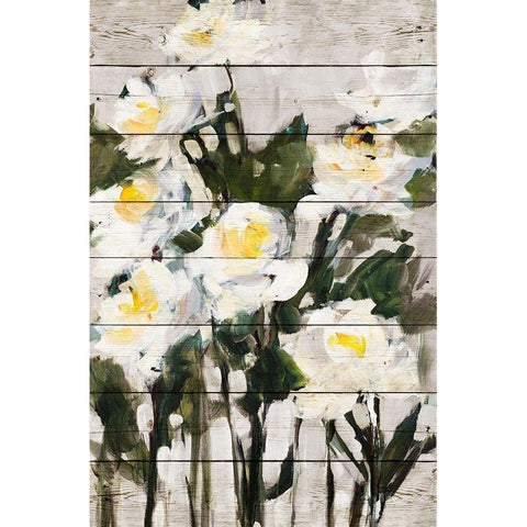 Long Stem Roses on Wood Black Modern Wood Framed Art Print with Double Matting by Slivka, Jane