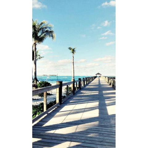 Pier View II Black Modern Wood Framed Art Print with Double Matting by Acosta