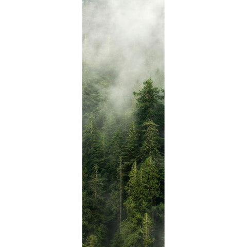 Smoky Forest Panel III Black Modern Wood Framed Art Print by Amos, Andy
