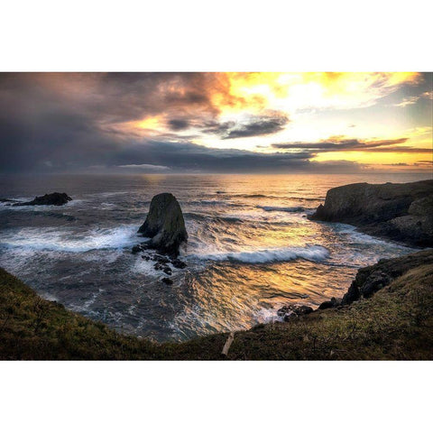 Pacific Cove White Modern Wood Framed Art Print by Amos, Andy