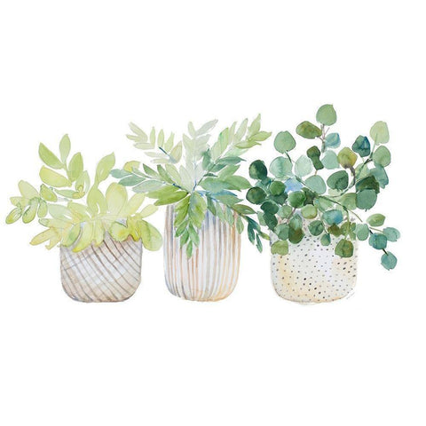 Three Potted Plants White Modern Wood Framed Art Print by Loreth, Lanie