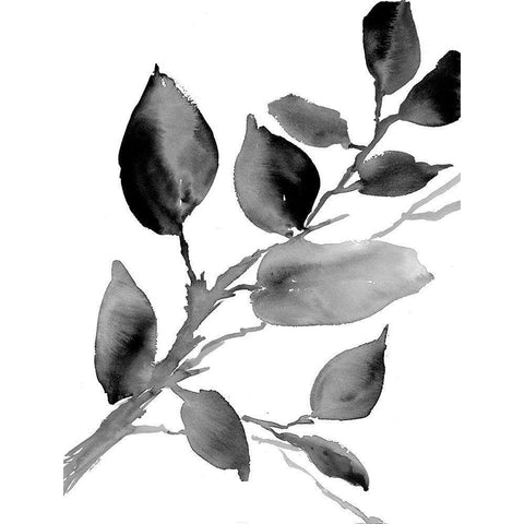 Gray Philodendron Branch Black Modern Wood Framed Art Print by Loreth, Lanie