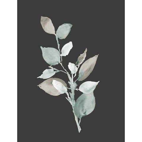 Eucalyptus Branch On Charcoal II Gold Ornate Wood Framed Art Print with Double Matting by Loreth, Lanie