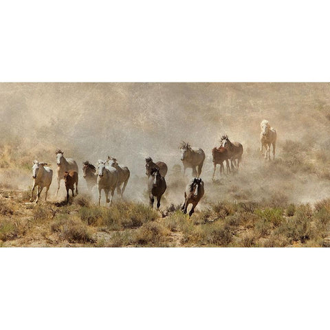 Horse Stampede White Modern Wood Framed Art Print by Walker, Carol