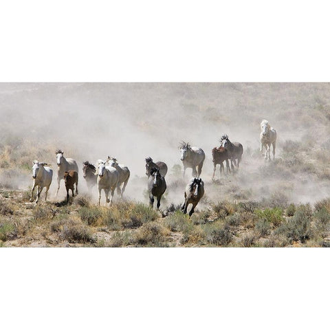 Horses Out West Gold Ornate Wood Framed Art Print with Double Matting by Walker, Carol