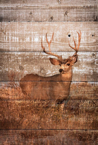 Woodland Deer Black Ornate Wood Framed Art Print with Double Matting by Mansfield, Kathy