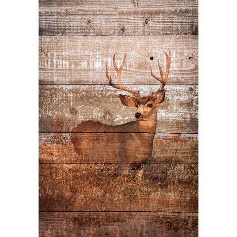 Woodland Deer Gold Ornate Wood Framed Art Print with Double Matting by Mansfield, Kathy