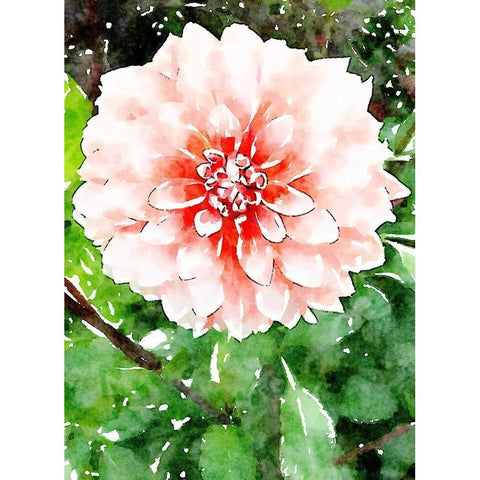 Rose Wash Floral Gold Ornate Wood Framed Art Print with Double Matting by Mansfield, Kathy