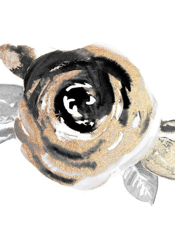 Gold Rosa Salvaje II White Modern Wood Framed Art Print with Double Matting by Pinto, Patricia