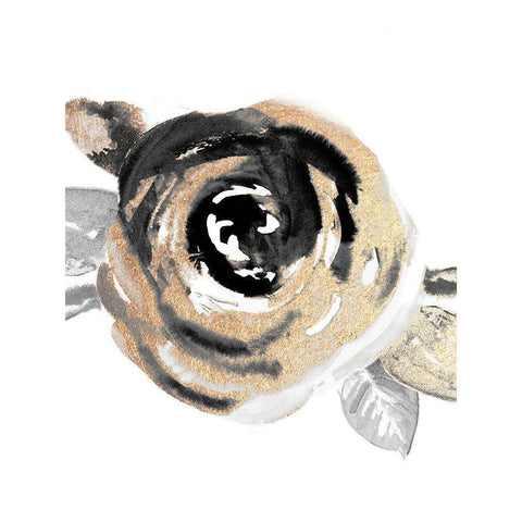 Gold Rosa Salvaje II Black Modern Wood Framed Art Print by Pinto, Patricia